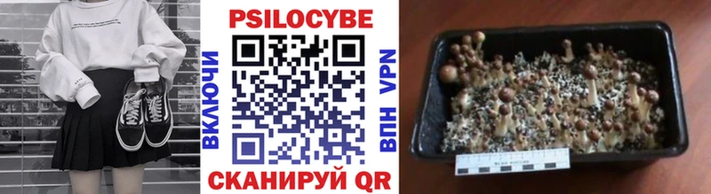 Псилоцибиновые грибы MAGIC MUSHROOMS  наркотики  Кисловодск 